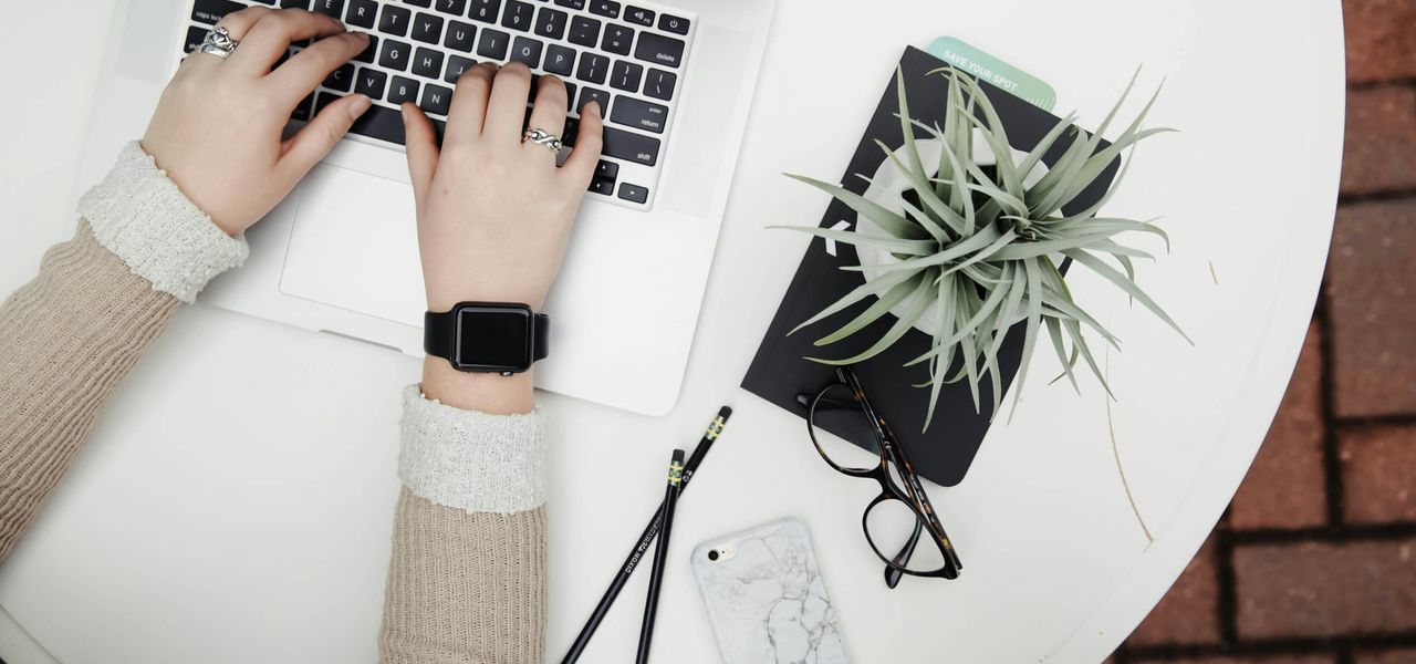 person using laptop computer beside aloe vera