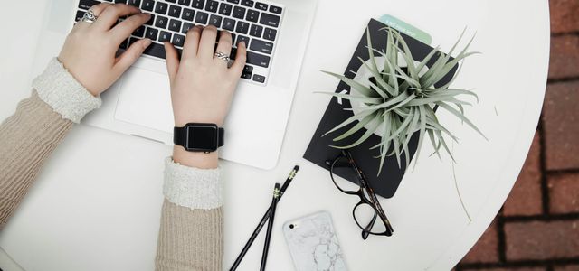 person using laptop computer beside aloe vera