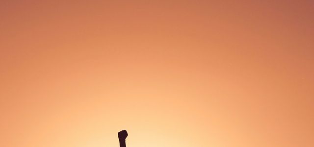 silhouette of personr