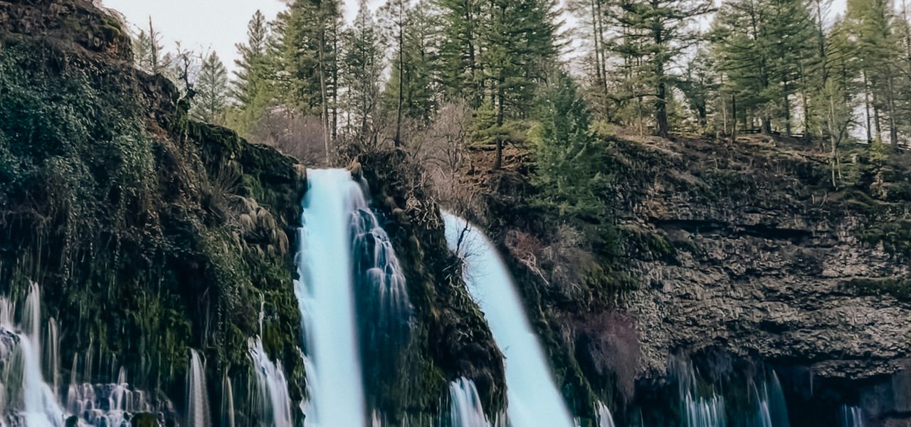 water falls in the forest