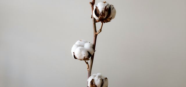 white round ornament on brown stick