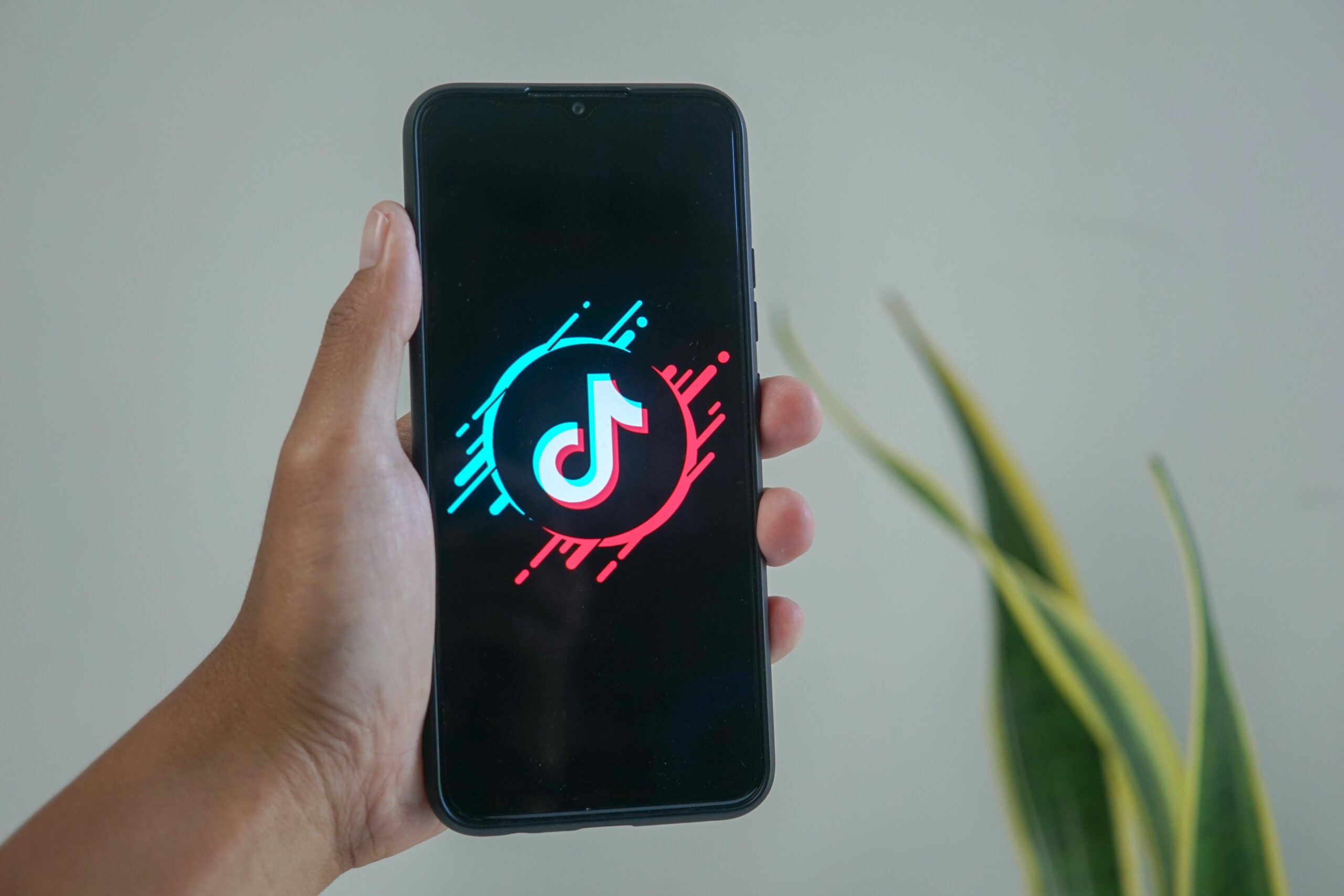 top 7 stocks to benefit from tiktok us shutdown