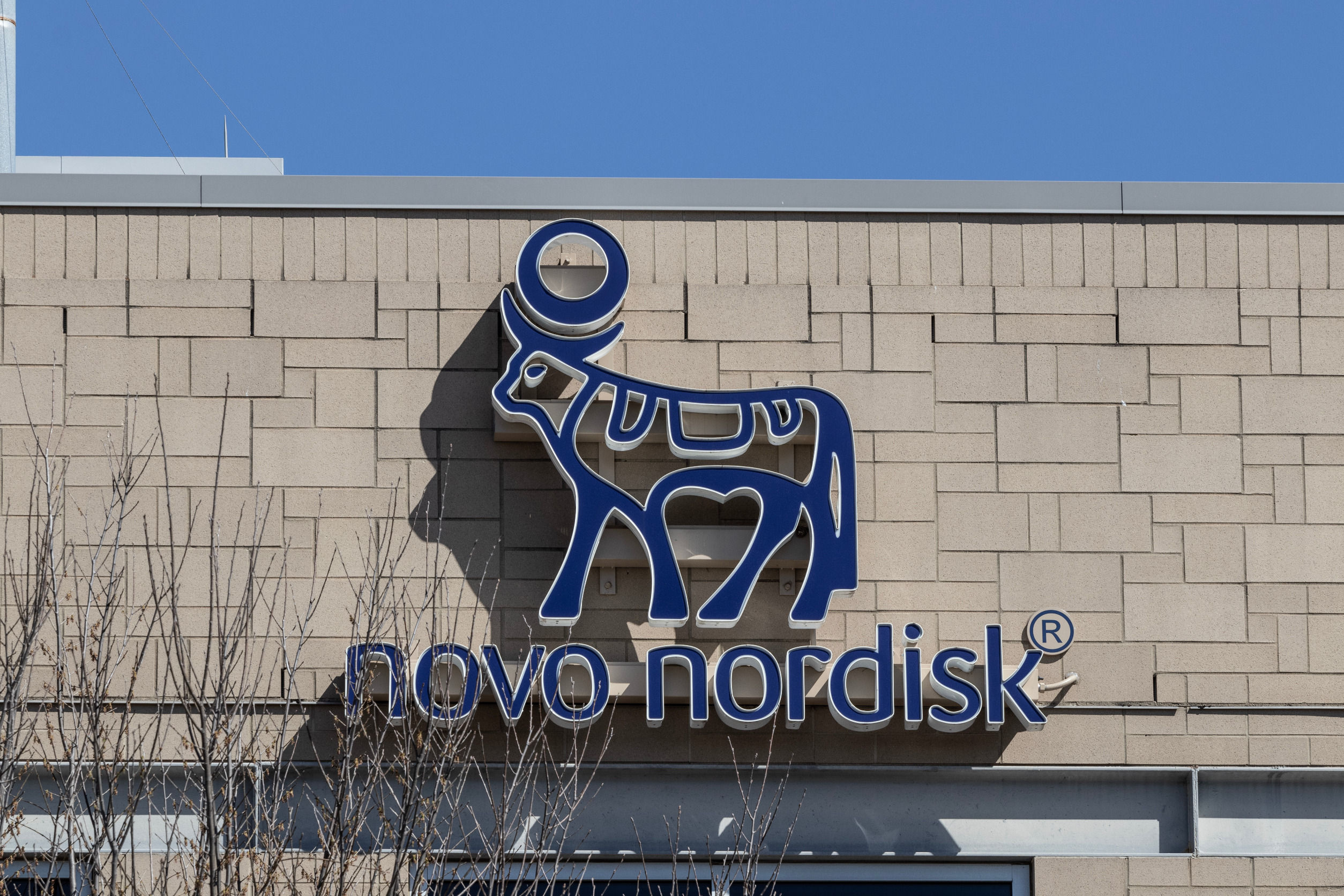 Why Is Novo Nordisk Stock Down Why Novo Nordisk stock plunged 25% today: key details revealed