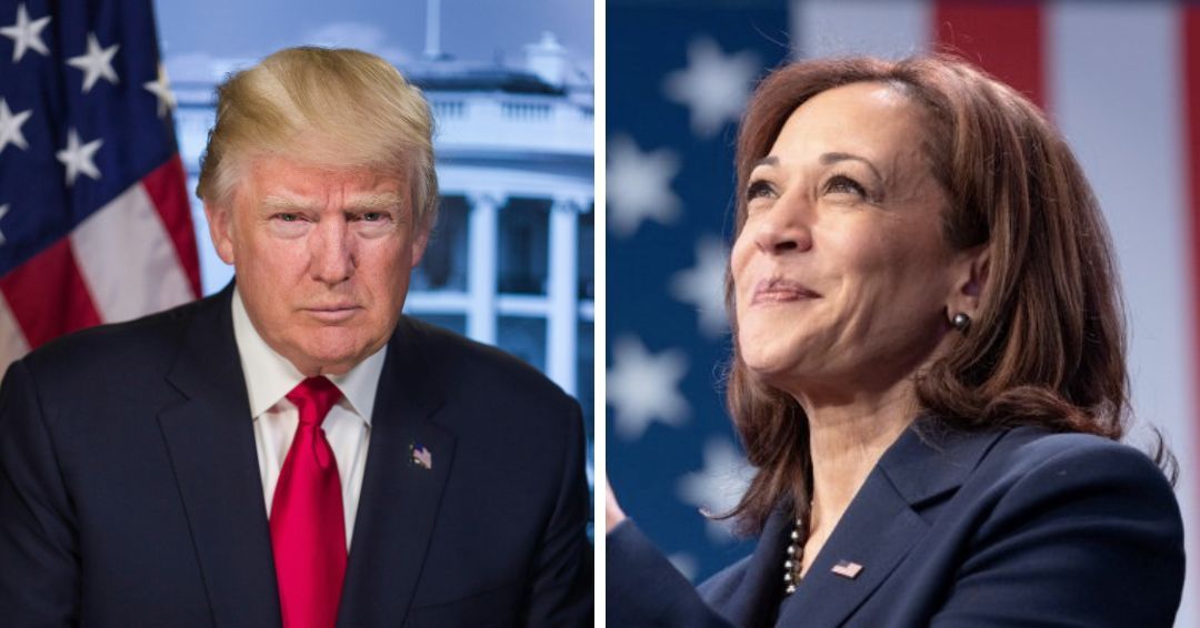 Live 2024 US Presidential Election results How to access, who will win?