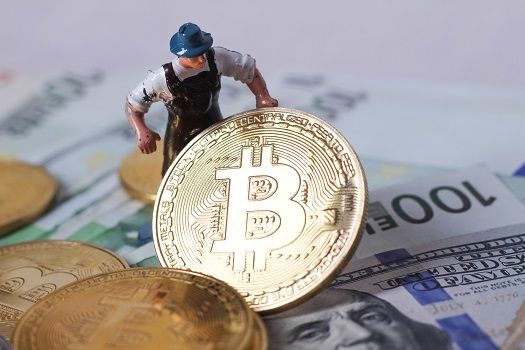 analysts predict continued growth
