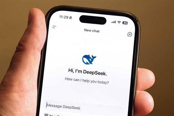 DeepSeekm DeepSeek ban, Chatbot