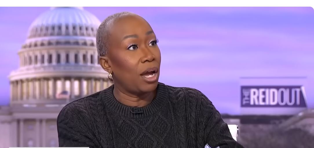 Joy Reid's net worth at risk as MSNBC cancels her show | Invezz