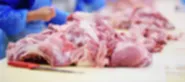 North America’s meat supply chain endangered as coronavirus shuts processors