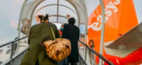 easyJet share price outlook ahead of FY’22 trading update