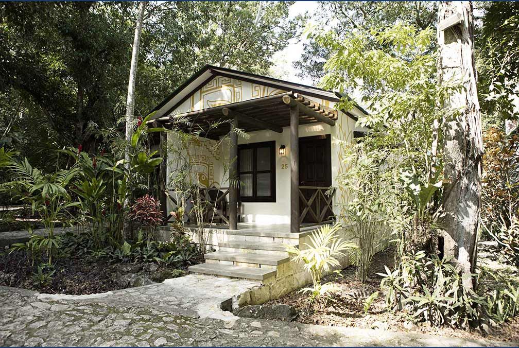overview of Jungle Lodge