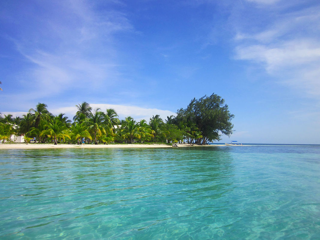 overview of Pelicans Pouch