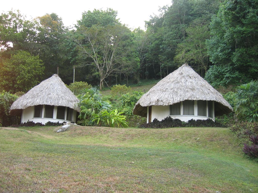 overview of Jade Jungle Lodge