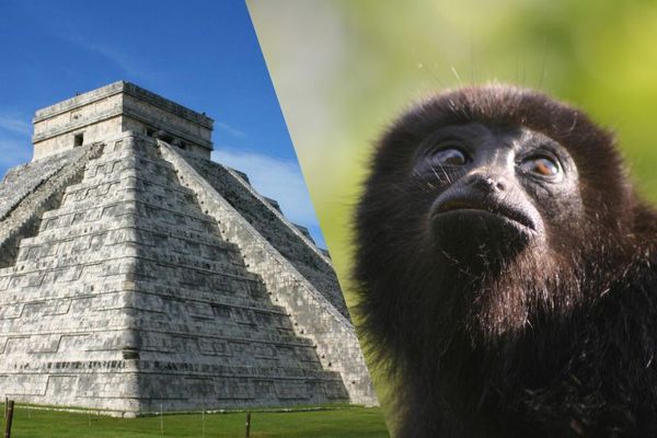 Mexico and Belize