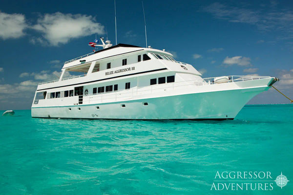 Belize Aggressor III - Dive Cruise