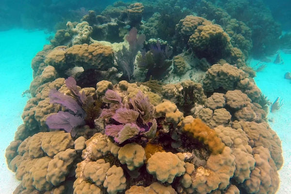 Snorkelling Holiday