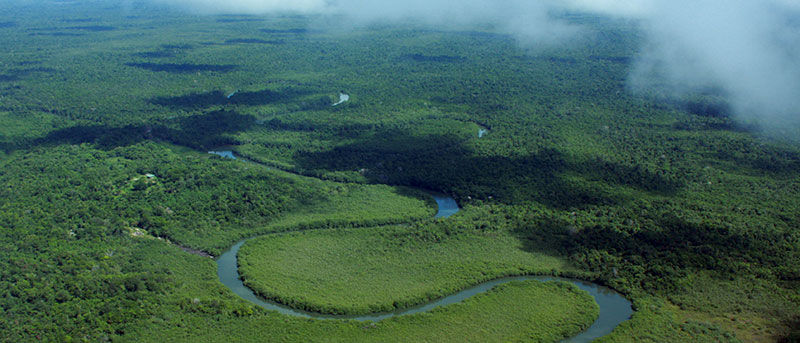 Aerial rural view