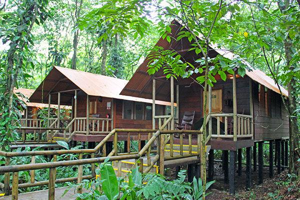 overview of Evergreen Lodge