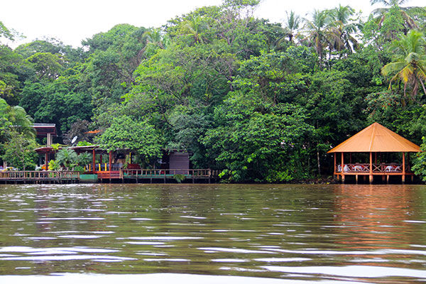 overview of Pachira Lodge