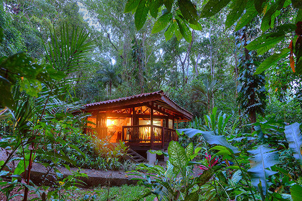 overview of Playa Nicuesa Rainforest Lodge