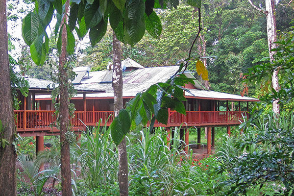 overview of Selva Verde