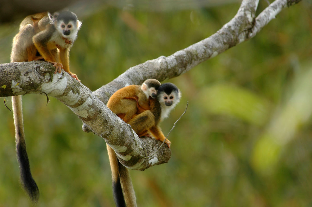 Small Group Wildlife Tour - departs 16 Feb and 16 Mar 2027