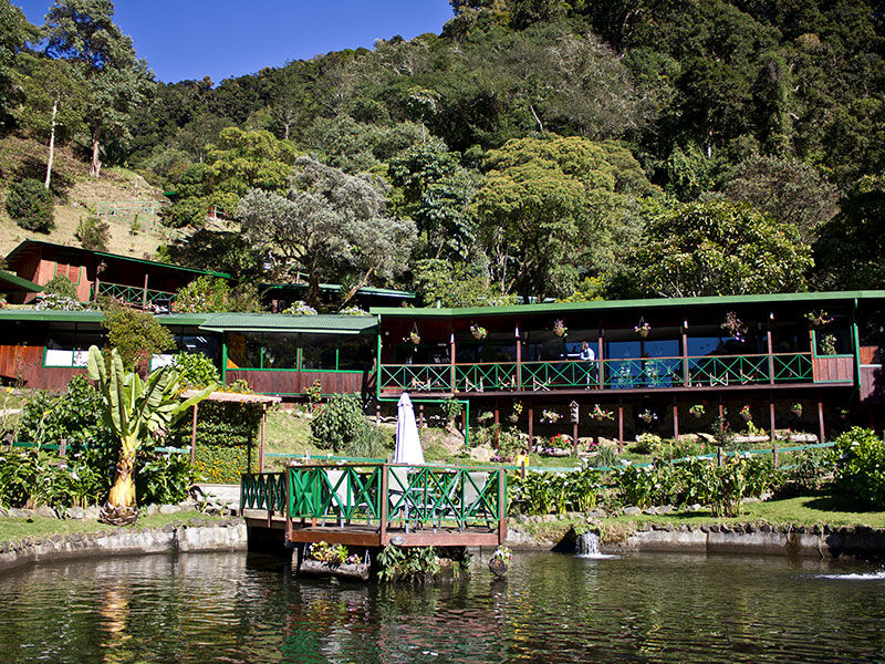 overview of Trogon Lodge