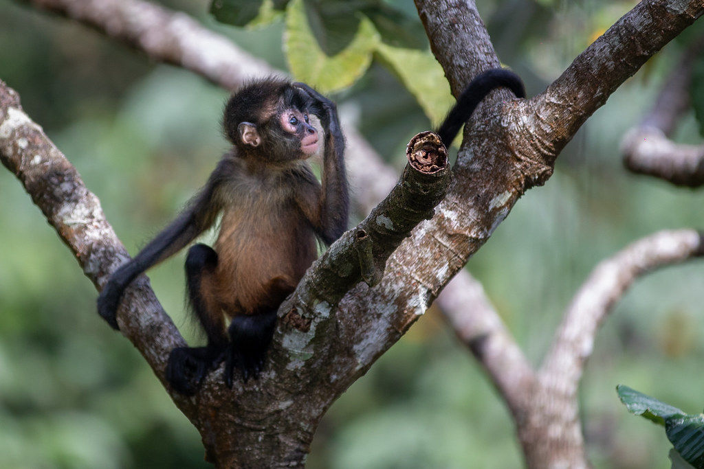 Small Group Wildlife Tour departs 16 Jan 2027