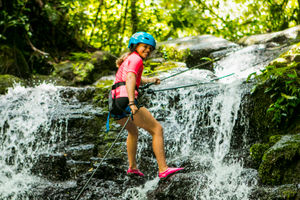 Canopy Tour