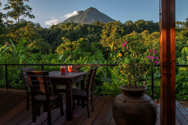 Luxury Rainforest and Beach