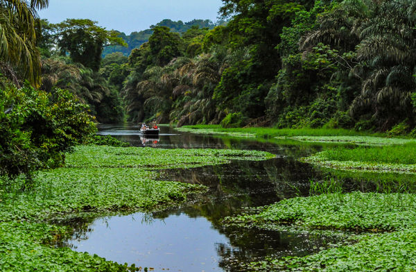 Tortuguero