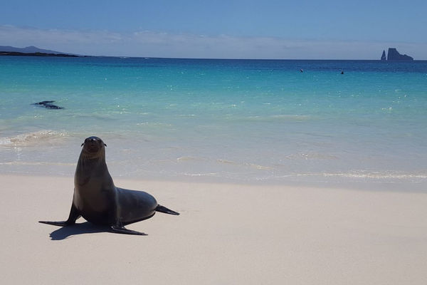 Ecuador and Galapagos