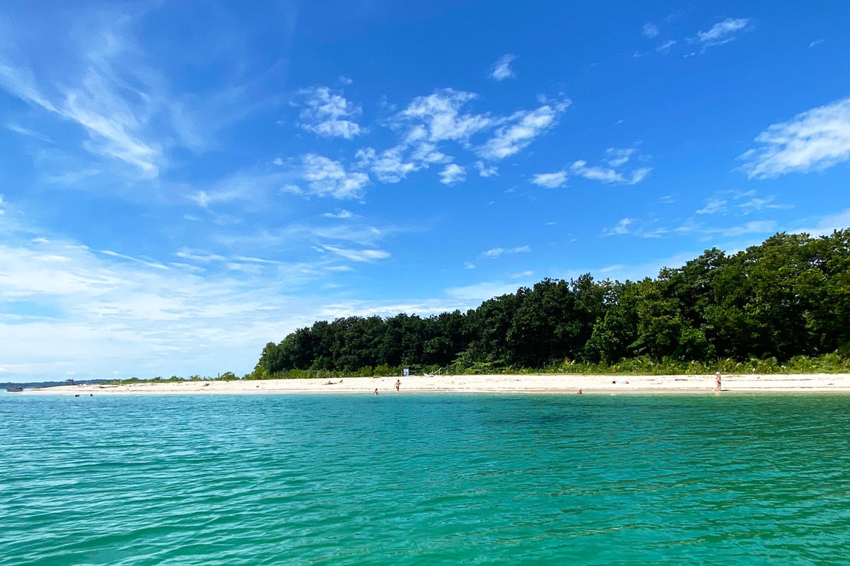 Panama Reef and Cloudforest