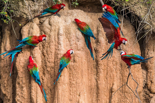 Peru