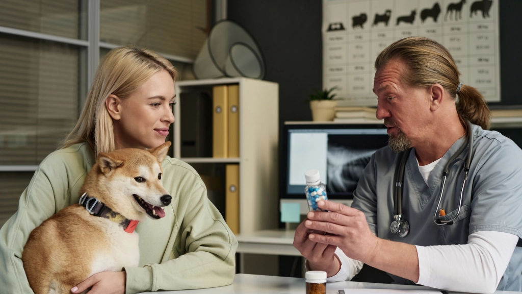 A veterinarian discusses medication options with a pet owner holding a dog, illustrating the process of allergy shots (immunotherapy) for pet allergies.