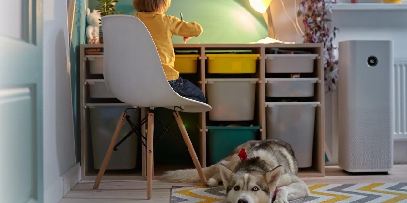 A woman sits on the floor of a bright, cozy living room, playing with her pug dog. In the foreground, a white air purifier is placed on a soft rug, indicating a clean and fresh environment. The large windows in the background let in natural light, highlighting the peaceful atmosphere. This scene illustrates the use of air purifiers to help reduce pet dander and improve air quality in homes with pets.