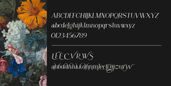 Artboard 13