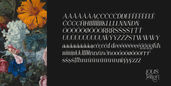 Artboard 14