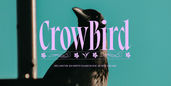 Preview 10 4