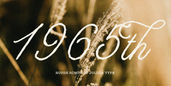 Preview 07 2