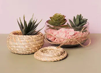 Home Decor