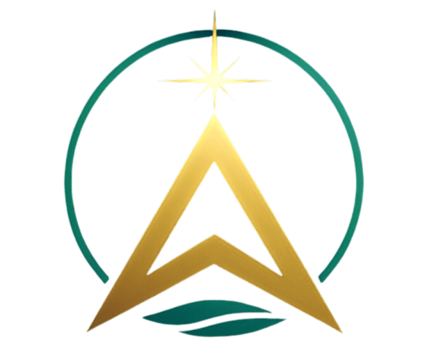 Pioneer Business Solutions Logo