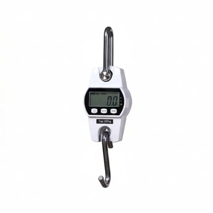 White 300 kg hanging scale — complete digital scale and hooks