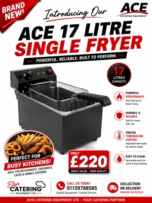 ACE BLACK 17 LITRE SINGLE FRYER