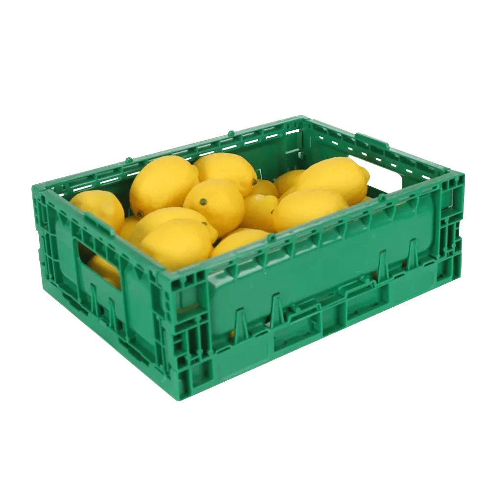Plastic Collapsible Vegetable Baskets