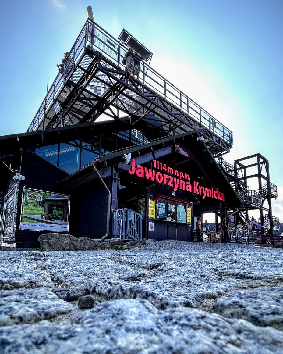Jaworzyna krynicka