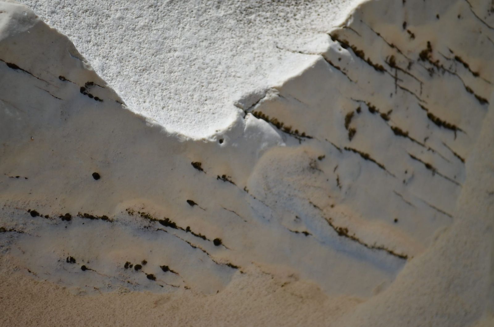 Details
