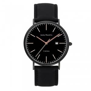 Ansley unisex watch AW211