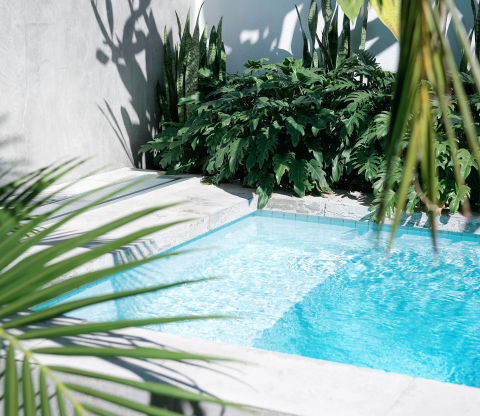Pool featuring stone tiling and greenery.