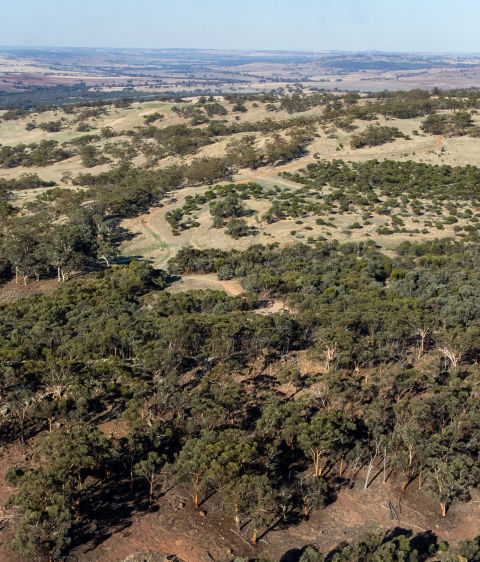 Areal view of bushland