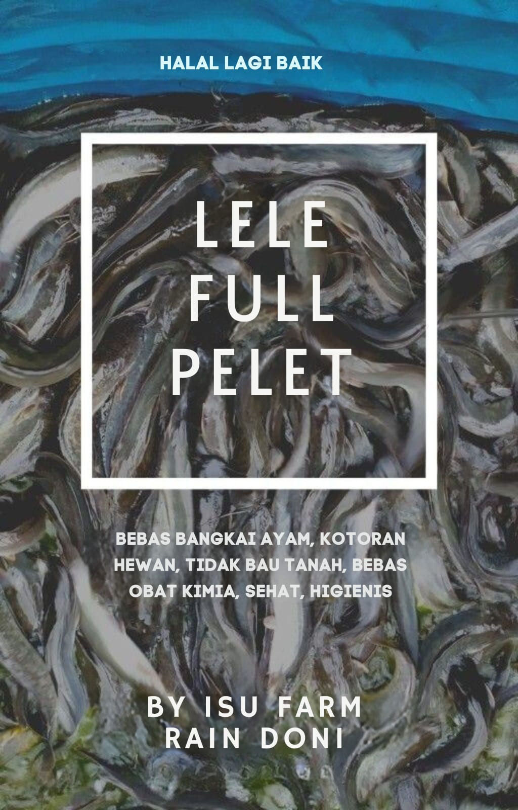 Ikan Lele Segar